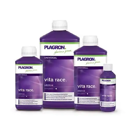 Vita Race