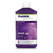 Start Up Start Up