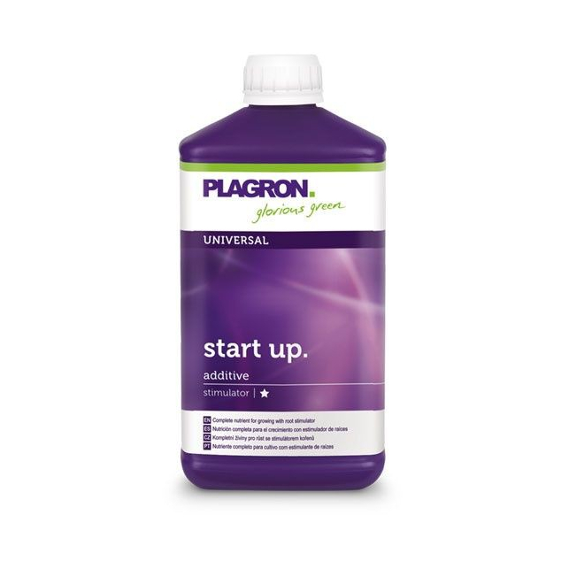 Start Up Start Up