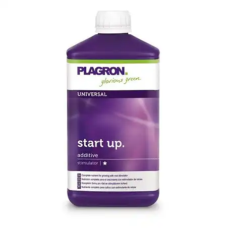 Start Up