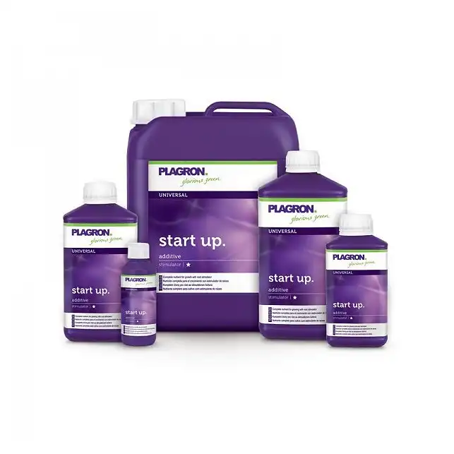 Start Up