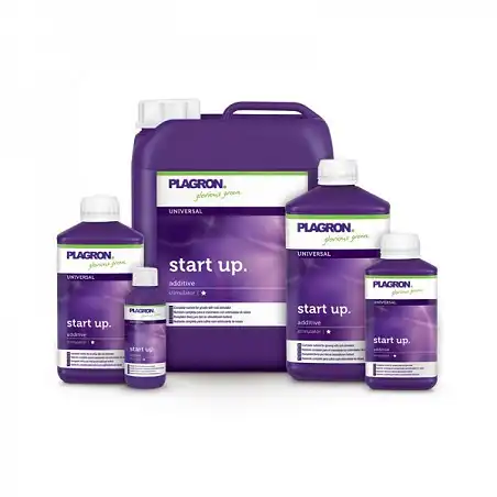 Start Up
