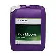 Alga Bloom Alga Bloom