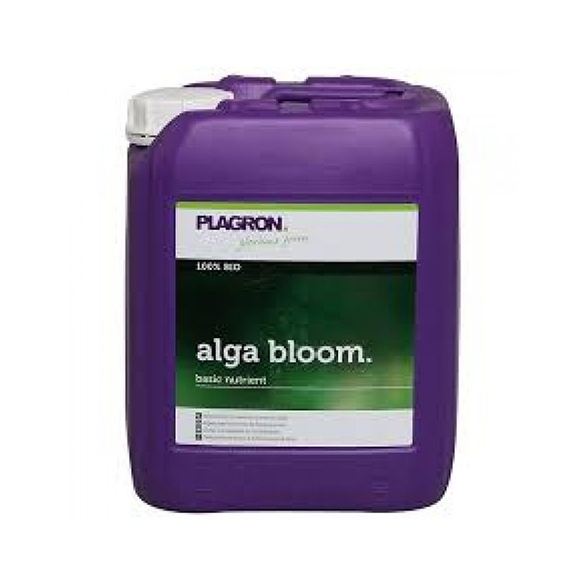 Alga Bloom