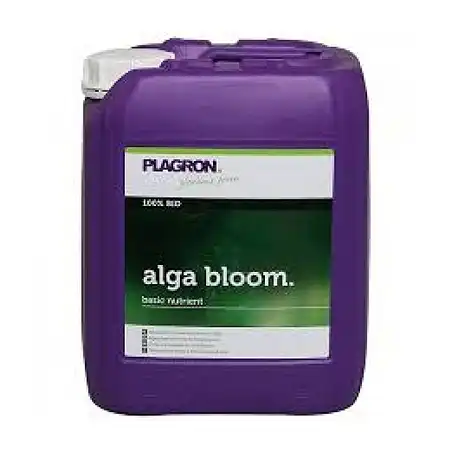 Alga Bloom