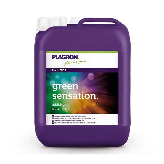 Green Sensation