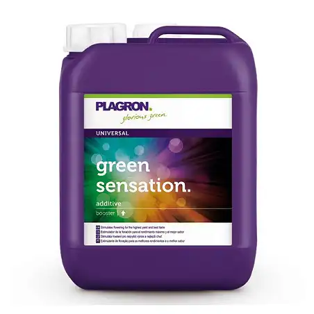 Green Sensation