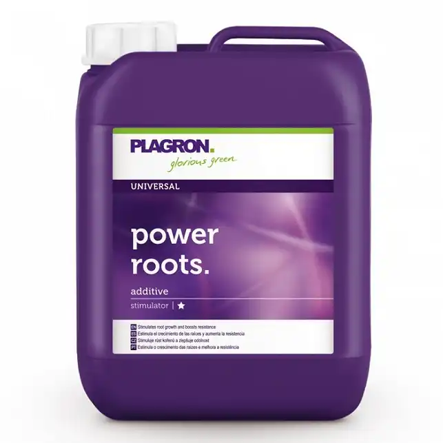 Power Roots