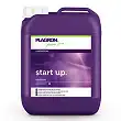 Start Up Start Up