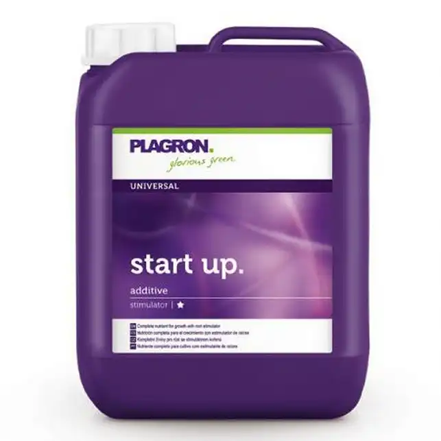 Start Up
