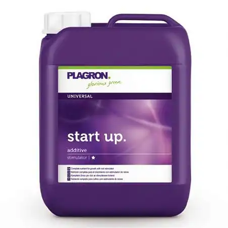 Start Up
