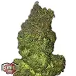 Fruit Punch Auto - Heavyweight Seeds