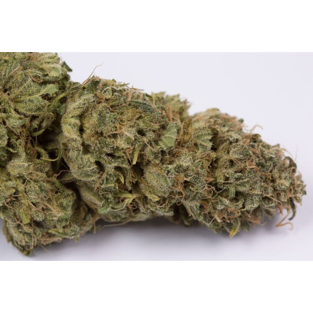 OG Kush Auto 4