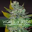 Chronic Haze - World of Seeds
