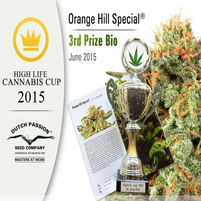 Orange Hill Special 3 - Dutch Passion