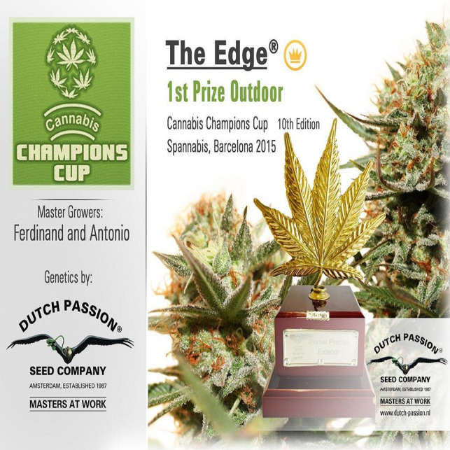 The Edge 3