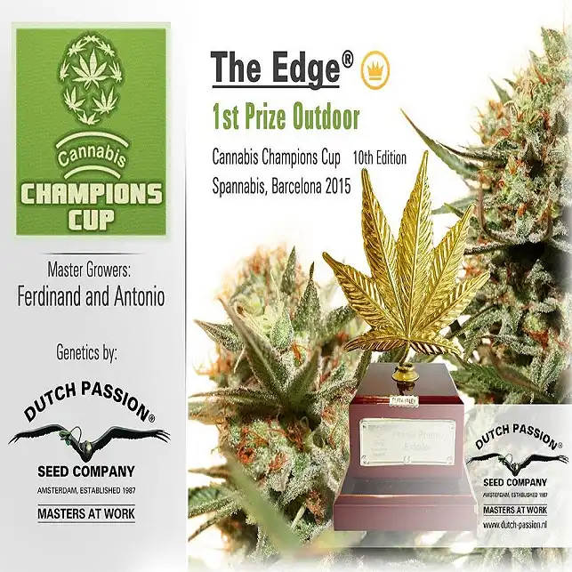 The Edge 1 - Dutch Passion