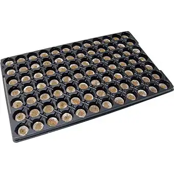 Bandeja Jiffy7 de 33mm 84 alveolos