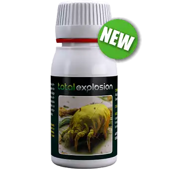 Total Explosion de Agrobacterias