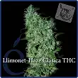 Llimonet Haze THC - Elite Seeds