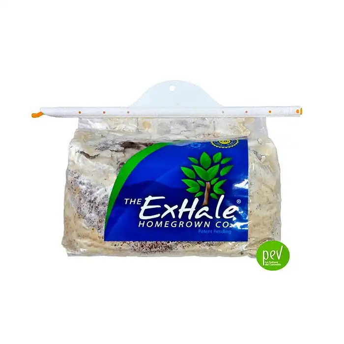 ExHale CO2 generation Bags