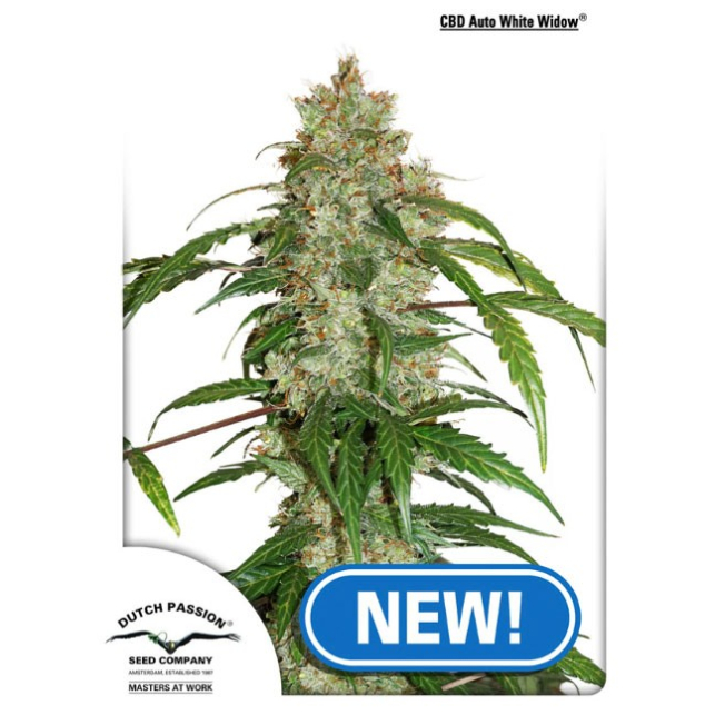 CBD Auto White Widow