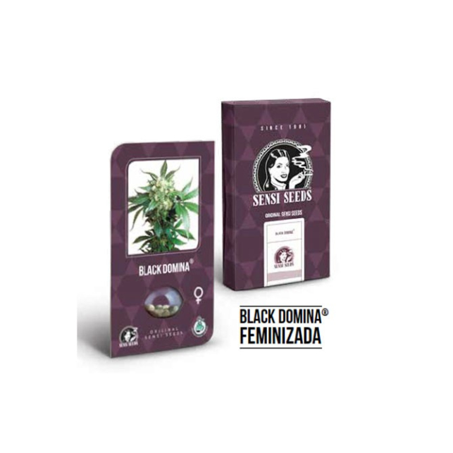 Black Domina® Feminizada - Sensi Seeds