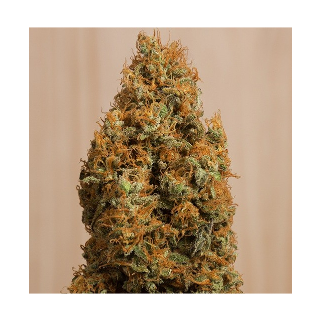 Green Crack CBD