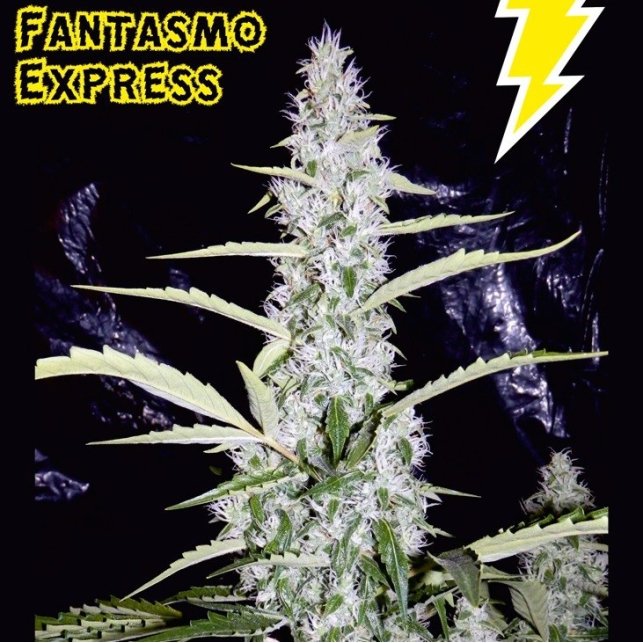 Fantasmo Express