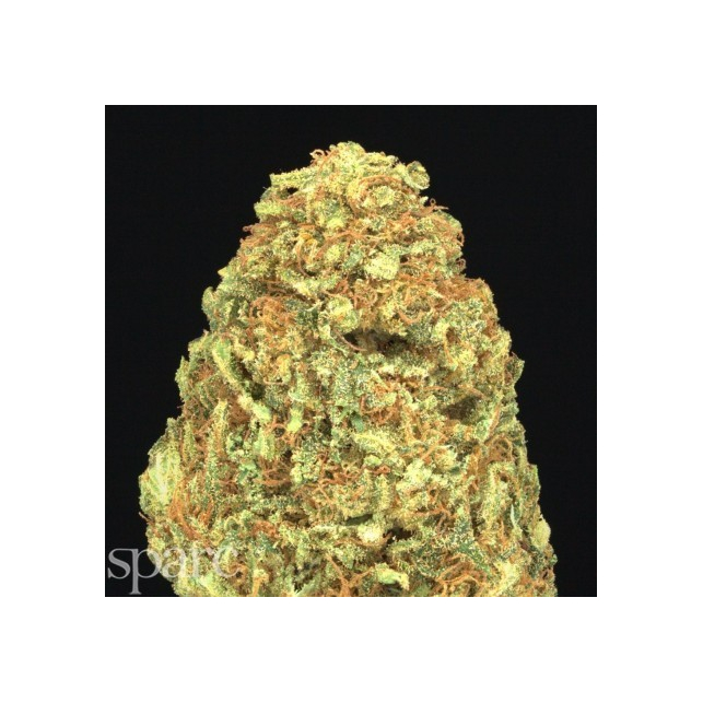 CBD OG