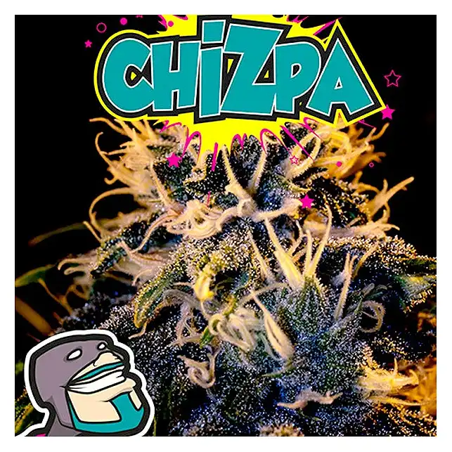 Chizpa - Positronics