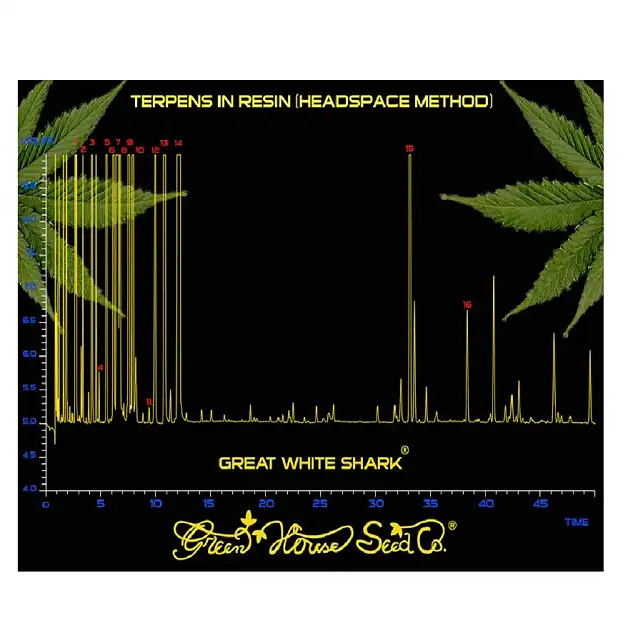 Great White Shark 1 - Green House