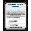 Gorilla Glue 4 X Lilly - Expert Seeds