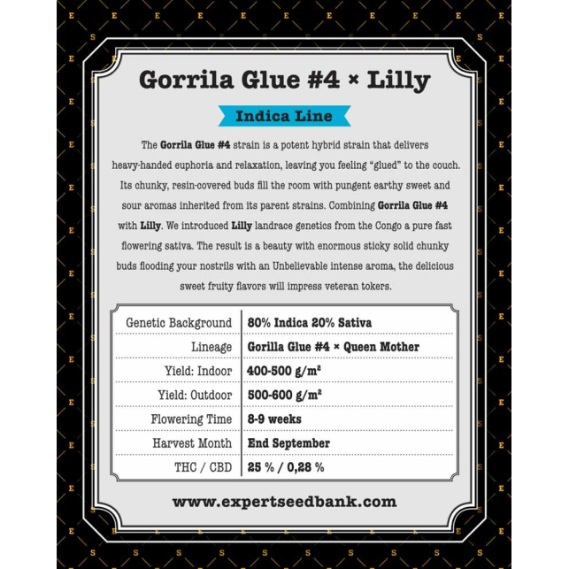 Gorilla Glue 4 X Lilly - Expert Seeds