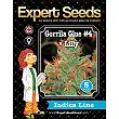 Gorilla Glue 4 X Lilly - Expert Seeds Gorilla Glue 4 X Lilly - Expert Seeds