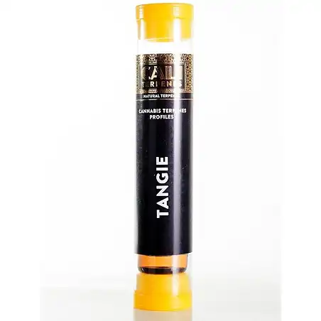 Cannabis Terpenes Cali - Tangie - 1ml