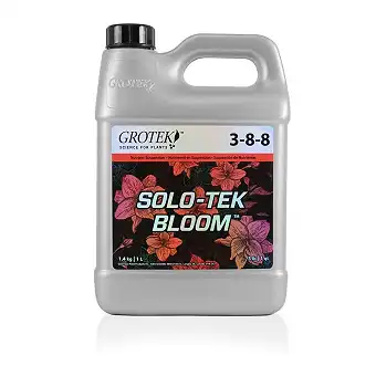 SoloTek Bloom