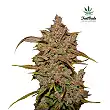 Crystal Meth 3 - FastBuds