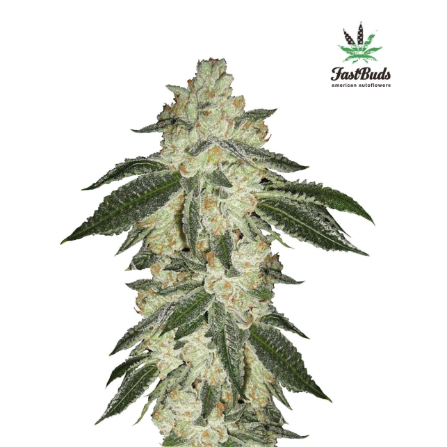 Green Crack FastBuds