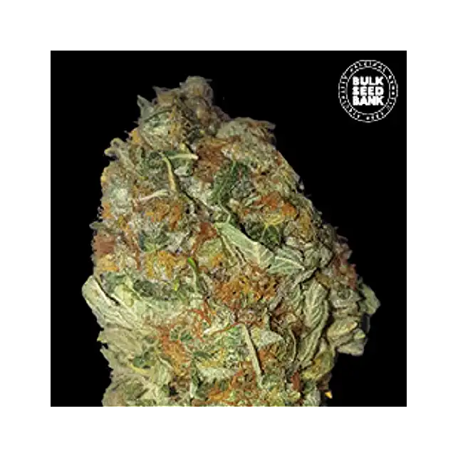 Green Candy - Bulk Seed Bank