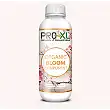 Bloom Component Organic