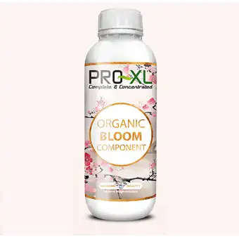 Bloom Component Organic