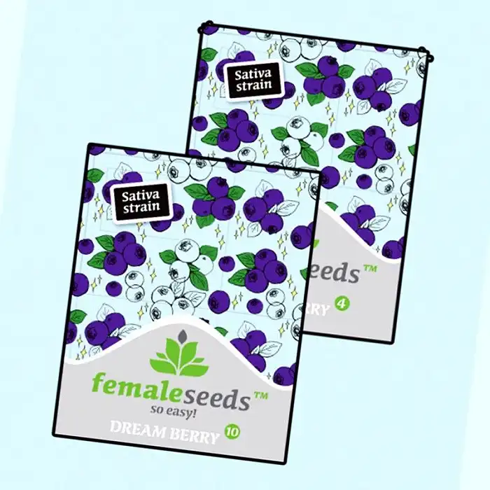 Dream Berry - Female Seeds