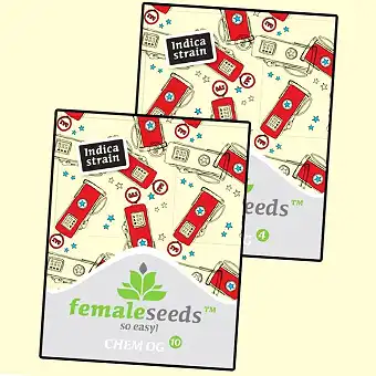 Chem OG - Female Seeds