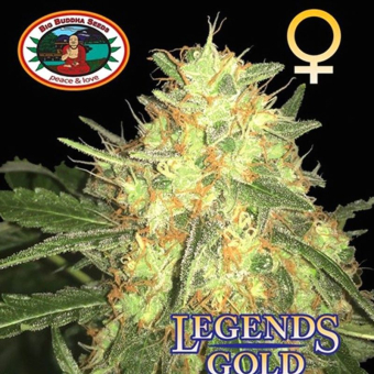 Legends Gold - Big Buddha Seeds