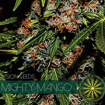 Mighty Mango - Vision Seeds