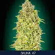 Skunk 47 - Advanced Seeds Skunk 47 - Advanced Seeds