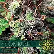Vision Kush Auto - Vision Seeds