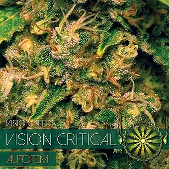 Vision Critical Auto - Vision Seeds