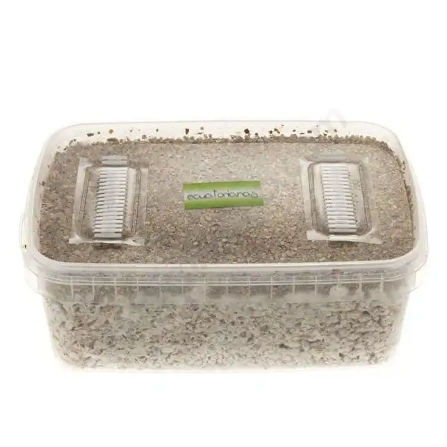 Ecuadorian mushroom kit